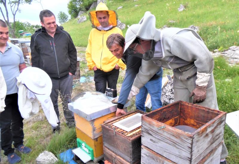 Bh. pčelari počinju sa proizvodnjom pčelinjeg otrova